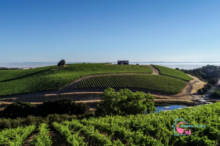 Tasting Room Cleaning Paso Robles